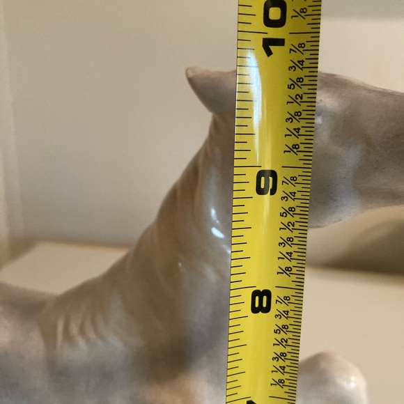 Horse 🐎 - Picture 5 of 6